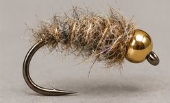 Ninfa Walt's Worm