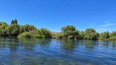 Río de sauces