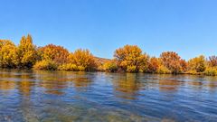 Otoño en el río